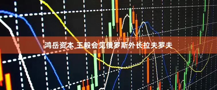 鸿岳资本 王毅会见俄罗斯外长拉夫罗夫