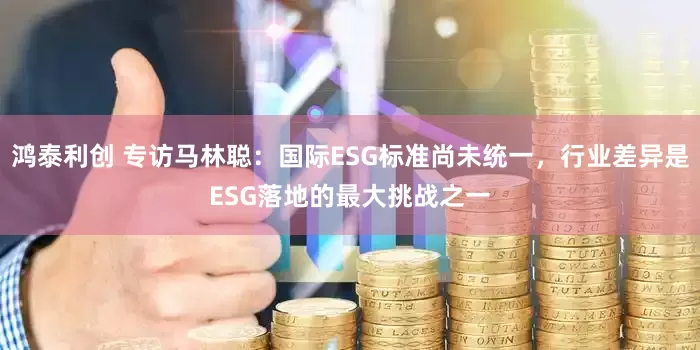 鸿泰利创 专访马林聪：国际ESG标准尚未统一，行业差异是ESG落地的最大挑战之一