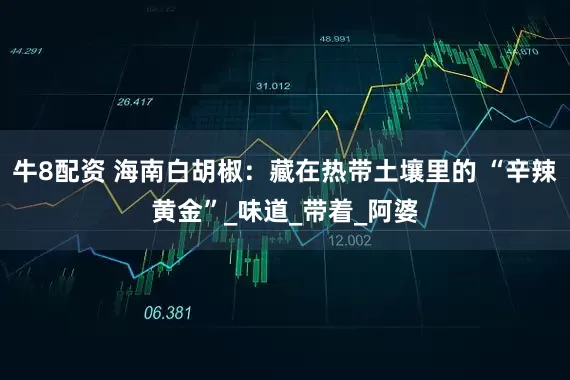 牛8配资 海南白胡椒：藏在热带土壤里的 “辛辣黄金”_味道_带着_阿婆